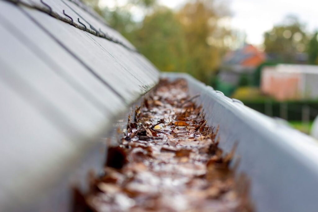Close-up of a gutter filled with fallen leaves needing cleaning.